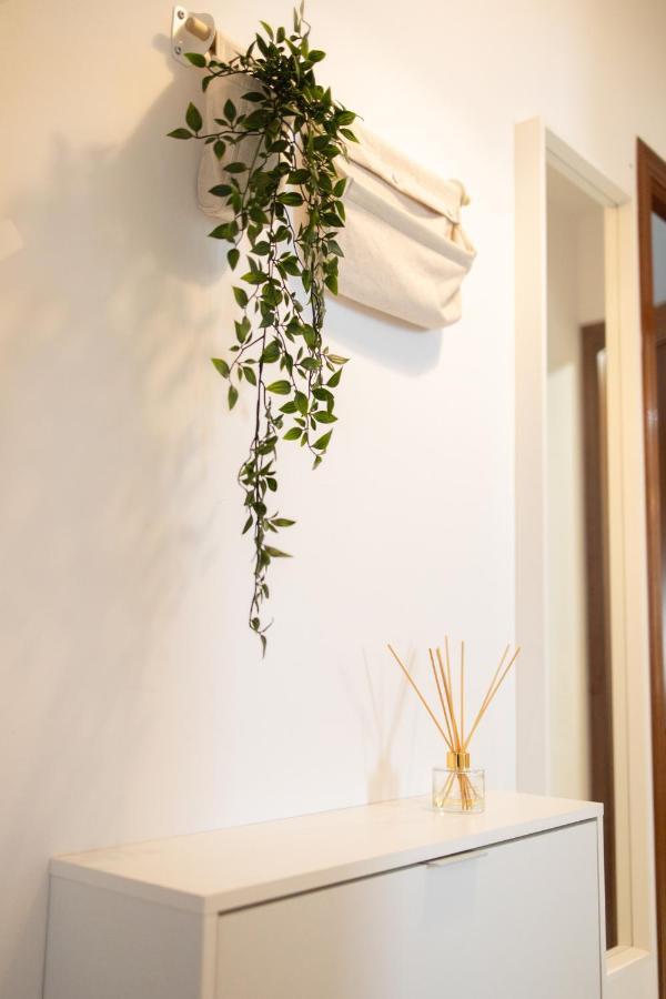 Apartamento Unicornio Sanlúcar de Barrameda Εξωτερικό φωτογραφία